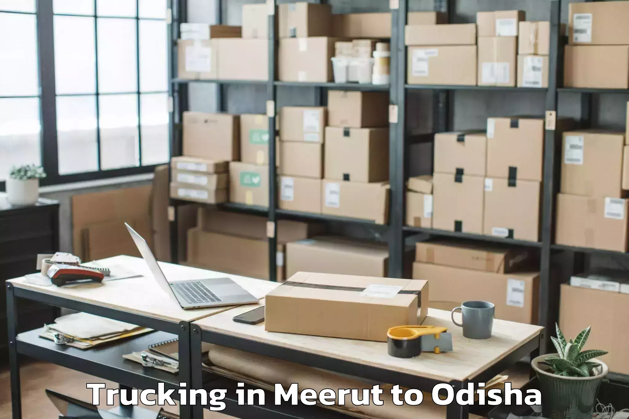 Top Meerut to Barang Trucking Available